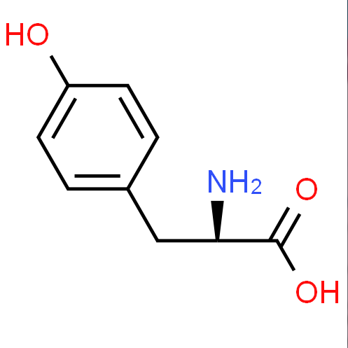 Factory supply high quality D-Tyrosine cas 556-02-5 with reasonable price