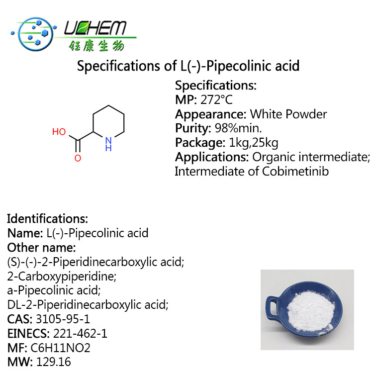 High purity 98% L-Pipecolinic acid powder CAS 3105-95-1 with best price