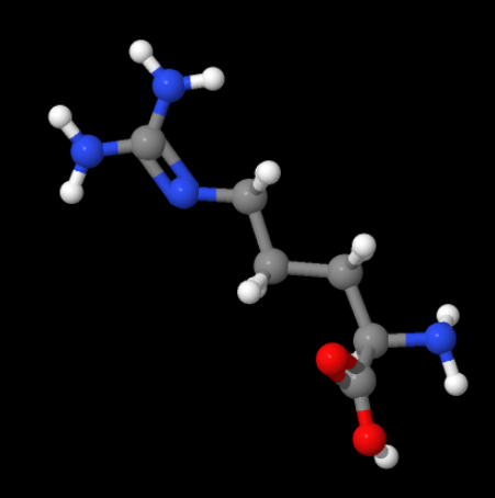 High Purity Wholesales price D-arginine Cas No 157-06-2 D-Arginine Powder