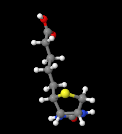 Factory supply D-biotin price Biotin Pure 99% CAS 58-85-5