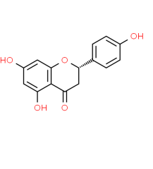 High Quality Pomelo Peel Extract Naringenin 98% Naringenin Powder Cas 480-41-1