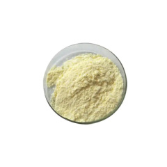 Factory direct supply 1H-Pyrazolo[3,4-d]pyrimidin-4-amine, 3-iodo- CAS 151266-23-8 with best quality