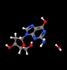 Factory Supply 2'-Deoxyguanosine monohydrate CAS 312693-72-4 with high quality and competitive price