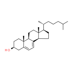 Hot sale 7-Dehydrocholesterol(CAS:434-16-2) with competitive price