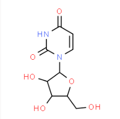 Hot sale 1-beta-D-Arabinofuranosyluracil with competitive price
