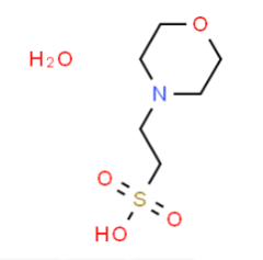 Hot sale MES Monohydrate(CAS:145224-94-8) with competitive price