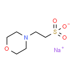 Hot sale MES sodium salt(CAS:71119-23-8) with competitive price