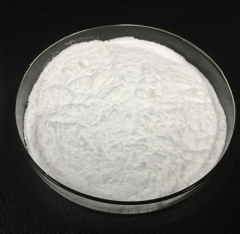 Factory China Manufacture High quality 99% p-Aminobenzamide CAS:2835-68-9 with best price