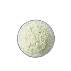 Factory Supply N-(p-Aminobenzoyl)glutamic acid CAS:4271-30-1 with high quality and competitive price