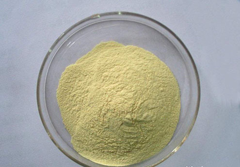 High quality Nitrofural CAS:59-87-0 with low price and fast delivery