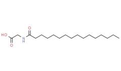 Manufacturer Supply 95% Palmitoyl glycine CAS 2441-41-0 with Safety Delivery