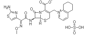 Manufacturer competitive price factory sell 25kg/drum white powder Cefquinome sulfate CAS 118443-89-3