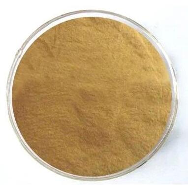 Professional supplier 2-Fluoro-4-nitrotoluene CAS 1427-07-2 with high quality