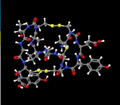 Factory Peptides Linaclotide Powder CAS No. 851199-59-2 with best price