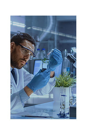 Click to view company video