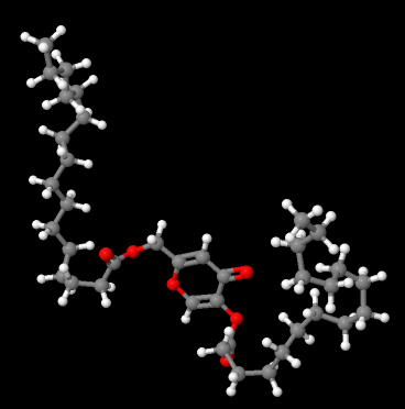 Wholesale Price High Purity Cosmetic Grade Kojic Acid Dipalmitate cas 79725-98-7 Powder For Skin Whitening