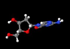 Wholesale Factory Price 5-Aza-2'-deoxycytidine / Decitabine cas 2353-33-5