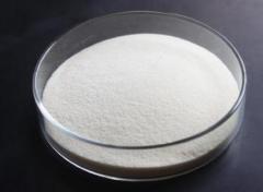 Hot Sales High Purity Dasatinib cas 302962-49-8