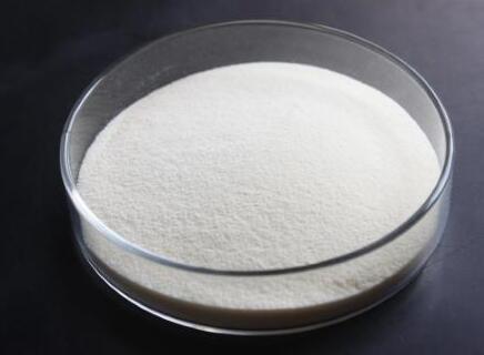 Hot Sales High Purity Dasatinib cas 302962-49-8