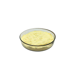 Wholesale 99% High Purity Hesperidin Extract CAS 520-27-4 Diosmin