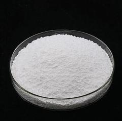 Factory supply 18-(tert-Butoxy)-18-oxooctadecanoic Acid CAS 843666-40-0