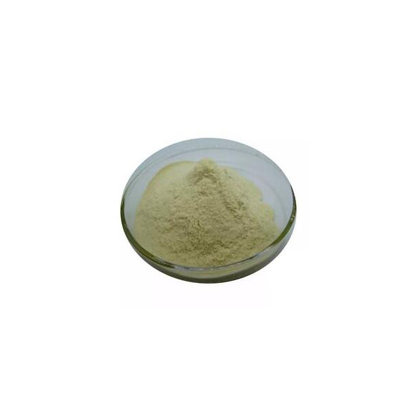 Professional manufacturer supply 2-Amino-3-Nitropyridine CAS 4214-75-9