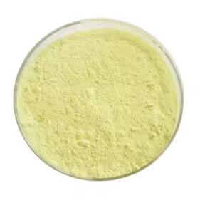 Wholesale Price High Purity 2-Amino-6-methylpyridine CAS 1824-81-3