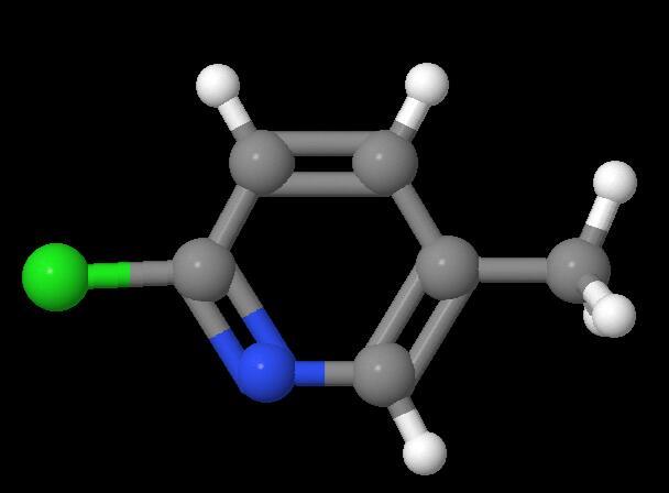 Manufacturer supply 2-Chloro-5-Methylpyridine cas 18368-64-4
