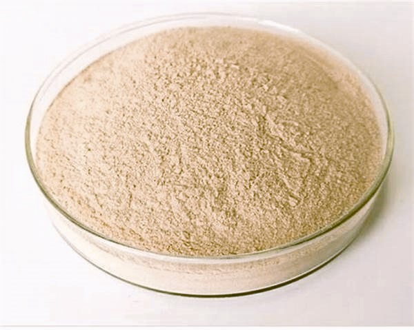 Factory supply Price 4-hydroxylpyridine-2,6-dicarboxylic acid CAS 499-51-4 with fast delivery in stock