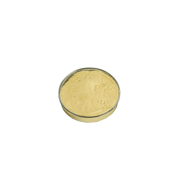 Reagent for Organic Synthesis and Catalysis 4,4'-Dichloro-2,2'-bipyridine CAS 1762-41-0