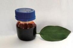 Z-113 Epoxy Resin Curing Agent: High Viscosity, Excellent Performance