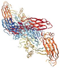 Factory supply price Transglutaminase CAS: 80146-85-6 in stock