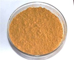 Hot sales Ethyl 6-amino-5-methoxy-1H-indole-2-carboxylate CAS no. 107575-60-0 with good price