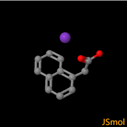 High Purity Potassium 1-Naphthaleneacetate cas 15165-79-4 with Professional Factory Supply