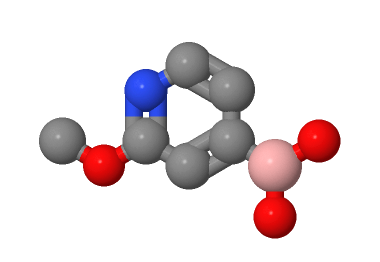 Hot sales 2-Methoxypyridne-4-boronic acid CAS:762262-09-9 with good price