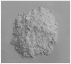 Hot sales Pyrimidine-5-boronic acid pinacol ester CAS:321724-19-0 with good price