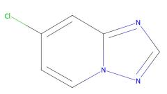 Hot Sale Professional Low Price 7-Chloro-[1,2,4]triazolo[1,5-a]pyridine cas 1427452-48-9
