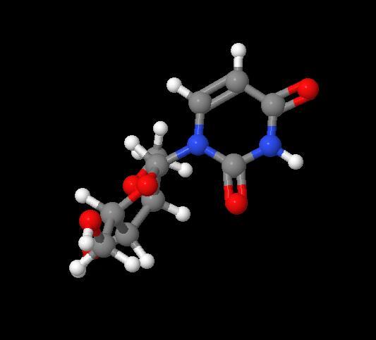 Fast Delivery Factory 2'-O-Methyluridine cas 2140-76-3