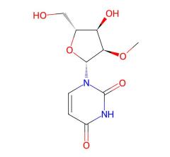 Fast Delivery Factory 2'-O-Methyluridine cas 2140-76-3