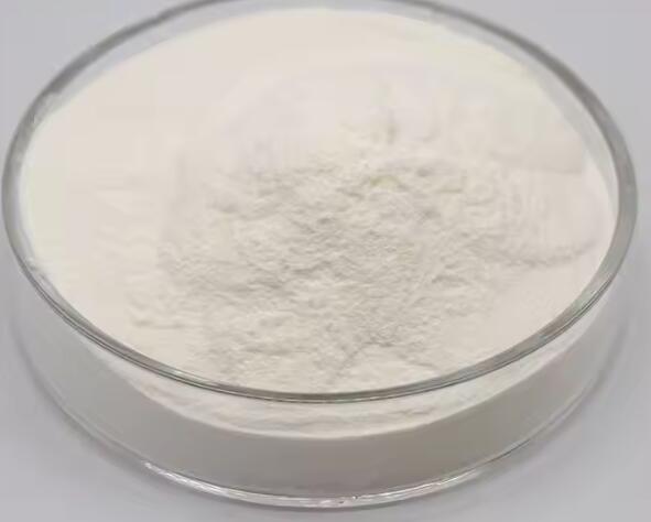 Hot Selling Calcium L-Aspartate / Calcium dihydrogen di-L-aspartate Food Additives CAS NO 39162-75-9