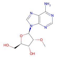 Manufacturer Low Price N6-Benzoyl-2'-O-methyladenosine cas 2140-79-6