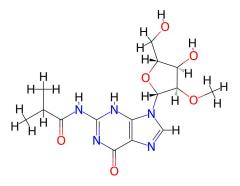 High Purity N2-Isobutyryl-2'-O-methylguanosine cas 63264-29-9