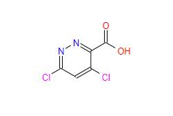 Manufacturer Supply 4,6-dichloropyridazine-3-carboxylic acid cas 1040246-87-4 with Best Price