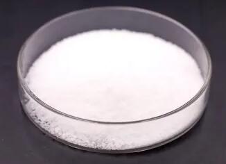 Manufacturer Supply 5-Bromoquinolin-2-amine cas 347146-12-7 with Best Price