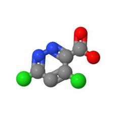 Manufacturer Supply 4,6-dichloropyridazine-3-carboxylic acid cas 1040246-87-4 with Best Price