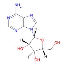 Factory Supply Vidarabine CAS 5536-17-4 with Good Price