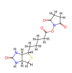 Best selling (+)-Biotin N-hydroxysuccinimide ester cas 35013-72-0