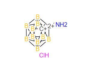 Supply top quality 95% 1-aminomethyl-1,2-dicarba-closo-dodecaborane hydrochloride cas 140662-84-6