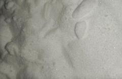 Wholesale High Purity Price 2-Bromo-1H-imidazole cas 16681-56-4