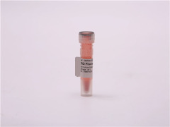 Factory Price Sell 95% 3,3'-Dioctadecyloxacarbocyanine perchlorate DIO cas 34215-57-1